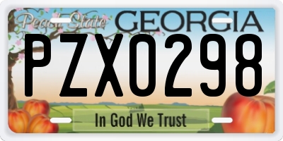 GA license plate PZX0298