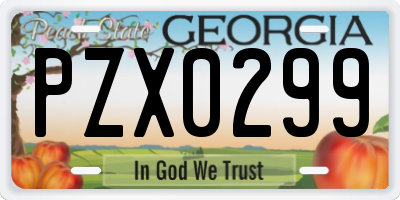 GA license plate PZX0299