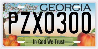 GA license plate PZX0300