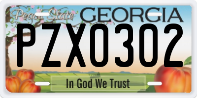 GA license plate PZX0302