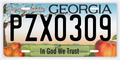 GA license plate PZX0309