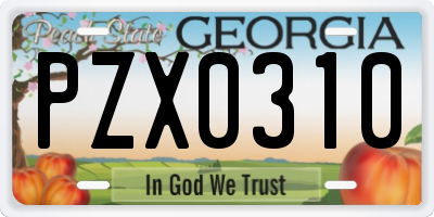 GA license plate PZX0310