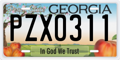 GA license plate PZX0311