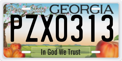 GA license plate PZX0313