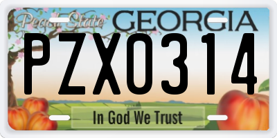 GA license plate PZX0314