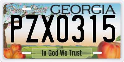 GA license plate PZX0315