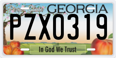 GA license plate PZX0319