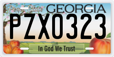 GA license plate PZX0323