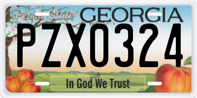 GA license plate PZX0324