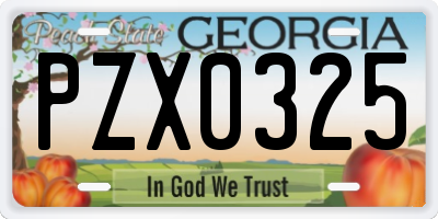 GA license plate PZX0325