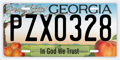 GA license plate PZX0328