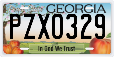 GA license plate PZX0329