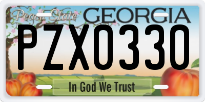 GA license plate PZX0330