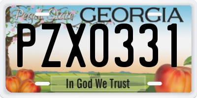 GA license plate PZX0331