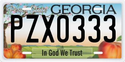 GA license plate PZX0333