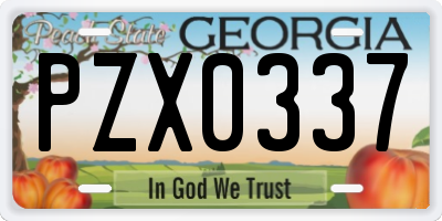 GA license plate PZX0337