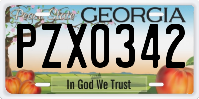 GA license plate PZX0342