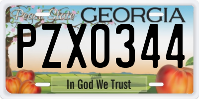 GA license plate PZX0344