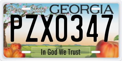 GA license plate PZX0347