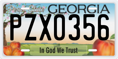 GA license plate PZX0356