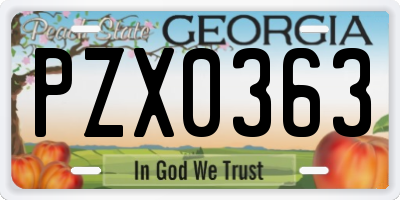 GA license plate PZX0363