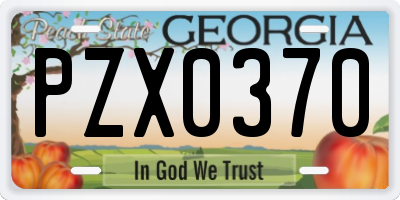 GA license plate PZX0370