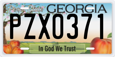 GA license plate PZX0371