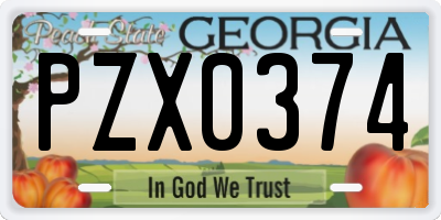 GA license plate PZX0374
