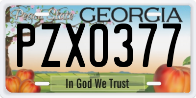 GA license plate PZX0377