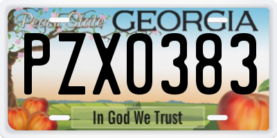 GA license plate PZX0383