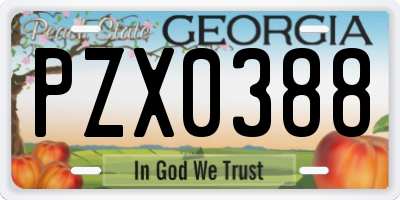 GA license plate PZX0388