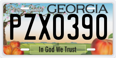GA license plate PZX0390