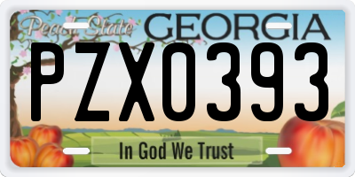 GA license plate PZX0393