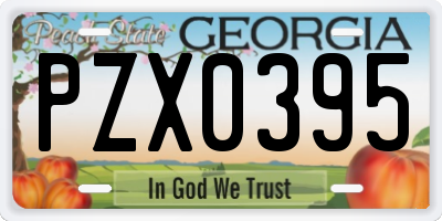 GA license plate PZX0395