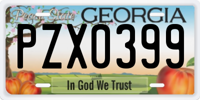 GA license plate PZX0399
