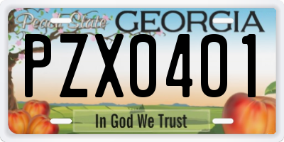 GA license plate PZX0401