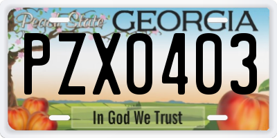 GA license plate PZX0403