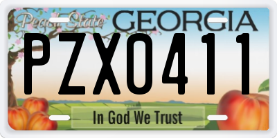 GA license plate PZX0411