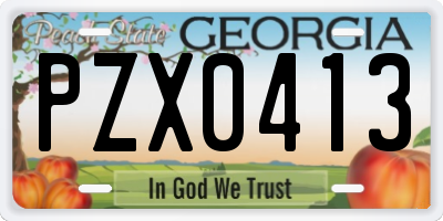 GA license plate PZX0413