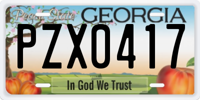 GA license plate PZX0417