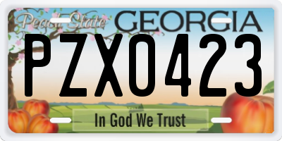 GA license plate PZX0423