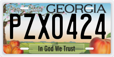 GA license plate PZX0424