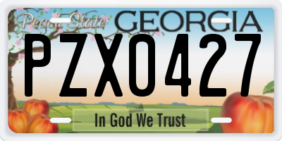 GA license plate PZX0427