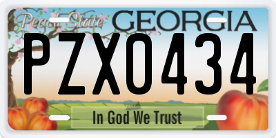 GA license plate PZX0434