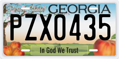 GA license plate PZX0435