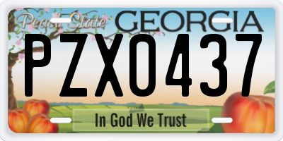 GA license plate PZX0437