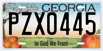 GA license plate PZX0445