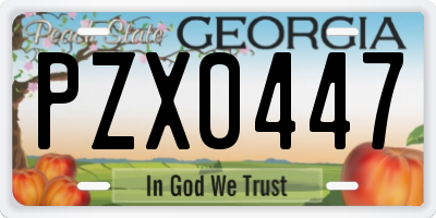 GA license plate PZX0447