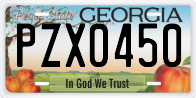 GA license plate PZX0450