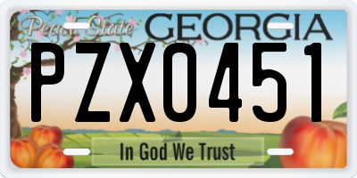 GA license plate PZX0451